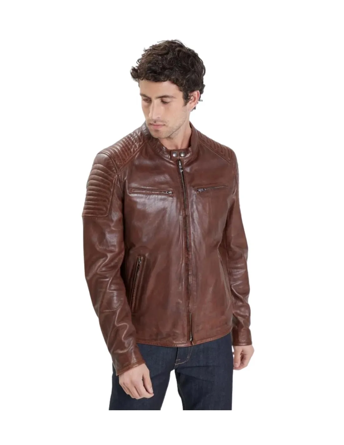 Blouson homme en cuir Daytona Stirling Lamb Paolo Ref 57935 dark cognac